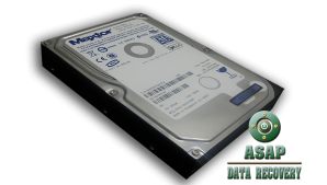 maxtor hard drive